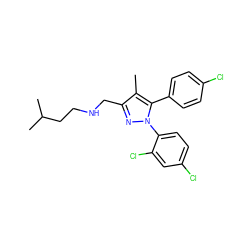 Cc1c(CNCCC(C)C)nn(-c2ccc(Cl)cc2Cl)c1-c1ccc(Cl)cc1 ZINC000040394915