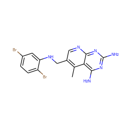 Cc1c(CNc2cc(Br)ccc2Br)cnc2nc(N)nc(N)c12 ZINC000027562411