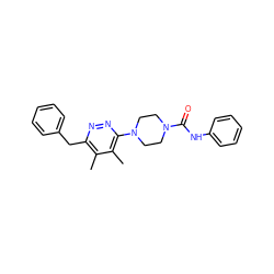 Cc1c(Cc2ccccc2)nnc(N2CCN(C(=O)Nc3ccccc3)CC2)c1C ZINC000117245763