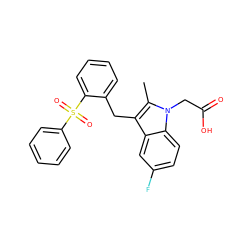 Cc1c(Cc2ccccc2S(=O)(=O)c2ccccc2)c2cc(F)ccc2n1CC(=O)O ZINC000096270507