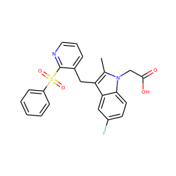 Cc1c(Cc2cccnc2S(=O)(=O)c2ccccc2)c2cc(F)ccc2n1CC(=O)O ZINC000043206325