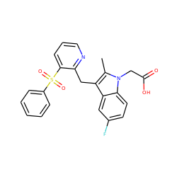 Cc1c(Cc2ncccc2S(=O)(=O)c2ccccc2)c2cc(F)ccc2n1CC(=O)O ZINC000096173329