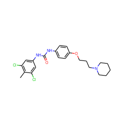 Cc1c(Cl)cc(NC(=O)Nc2ccc(OCCCN3CCCCC3)cc2)cc1Cl ZINC000096270458