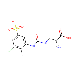 Cc1c(Cl)cc(S(=O)(=O)O)cc1NC(=O)NC[C@@H](N)C(=O)O ZINC000149286678