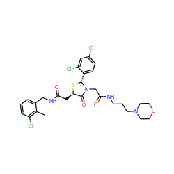 Cc1c(Cl)cccc1CNC(=O)C[C@H]1S[C@H](c2ccc(Cl)cc2Cl)N(CC(=O)NCCCN2CCOCC2)C1=O ZINC000029391990