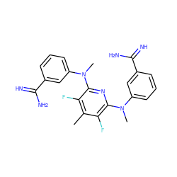 Cc1c(F)c(N(C)c2cccc(C(=N)N)c2)nc(N(C)c2cccc(C(=N)N)c2)c1F ZINC000013797462