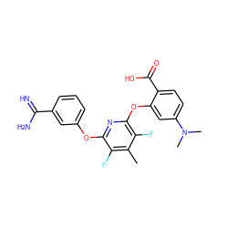 Cc1c(F)c(Oc2cccc(C(=N)N)c2)nc(Oc2cc(N(C)C)ccc2C(=O)O)c1F ZINC000013474045