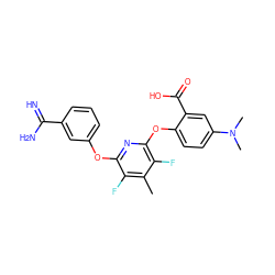 Cc1c(F)c(Oc2cccc(C(=N)N)c2)nc(Oc2ccc(N(C)C)cc2C(=O)O)c1F ZINC000028524087