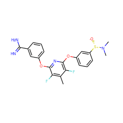 Cc1c(F)c(Oc2cccc(C(=N)N)c2)nc(Oc2cccc([S@+]([O-])N(C)C)c2)c1F ZINC000013474008