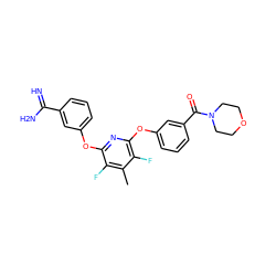 Cc1c(F)c(Oc2cccc(C(=N)N)c2)nc(Oc2cccc(C(=O)N3CCOCC3)c2)c1F ZINC000013473992