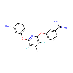 Cc1c(F)c(Oc2cccc(N)c2)nc(Oc2cccc(C(=N)N)c2)c1F ZINC000013474012