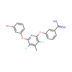 Cc1c(F)c(Oc2cccc(O)c2)nc(Oc2cccc(C(=N)N)c2)c1F ZINC000013474027