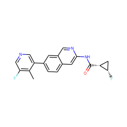 Cc1c(F)cncc1-c1ccc2cc(NC(=O)[C@@H]3C[C@@H]3F)ncc2c1 ZINC000144258454