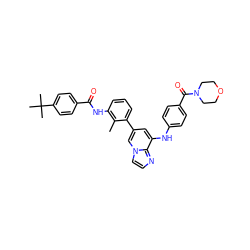 Cc1c(NC(=O)c2ccc(C(C)(C)C)cc2)cccc1-c1cc(Nc2ccc(C(=O)N3CCOCC3)cc2)c2nccn2c1 ZINC000169340180