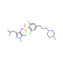 Cc1c(NS(=O)(=O)c2c(Cl)cc(CCCN3CCN(C)CC3)cc2Cl)c(CC(C)C)nn1C ZINC001772635591