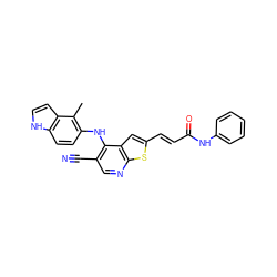 Cc1c(Nc2c(C#N)cnc3sc(/C=C/C(=O)Nc4ccccc4)cc23)ccc2[nH]ccc12 ZINC000040404999