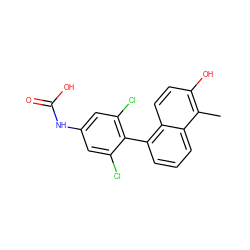 Cc1c(O)ccc2c(-c3c(Cl)cc(NC(=O)O)cc3Cl)cccc12 ZINC000028524626