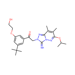 Cc1c(OC(C)C)nn2c(=N)n(CC(=O)c3cc(OCCO)cc(C(C)(C)C)c3)nc2c1C ZINC000115497905