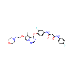 Cc1c(OCCN2CCOCC2)cn2ncnc(Oc3ccc(NC(=O)CC(=O)Nc4ccc(F)cc4)cc3F)c12 ZINC000029040596