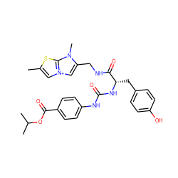 Cc1c[n+]2cc(CNC(=O)[C@H](Cc3ccc(O)cc3)NC(=O)Nc3ccc(C(=O)OC(C)C)cc3)n(C)c2s1 ZINC000095559993