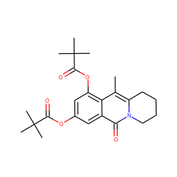 Cc1c2n(c(=O)c3cc(OC(=O)C(C)(C)C)cc(OC(=O)C(C)(C)C)c13)CCCC2 ZINC000143216173