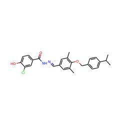 Cc1cc(/C=N/NC(=O)c2ccc(O)c(Cl)c2)cc(C)c1OCc1ccc(C(C)C)cc1 ZINC000013439043