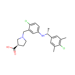 Cc1cc([C@@H](C)Nc2ccc(Cl)c(CN3CC[C@@H](C(=O)O)C3)c2)cc(C)c1Cl ZINC000118401654