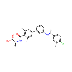 Cc1cc([C@@H](C)Nc2cccc(-c3cc(C)c(C(=O)N[C@@H](C)C(=O)O)c(C)c3)c2)ccc1Cl ZINC000103273369