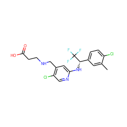 Cc1cc([C@H](Nc2cc(CNCCC(=O)O)c(Cl)cn2)C(F)(F)F)ccc1Cl ZINC000118387061