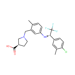 Cc1cc([C@H](Nc2ccc(C)c(CN3CC[C@@H](C(=O)O)C3)c2)C(F)(F)F)ccc1Cl ZINC000118402847