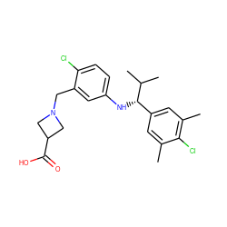 Cc1cc([C@H](Nc2ccc(Cl)c(CN3CC(C(=O)O)C3)c2)C(C)C)cc(C)c1Cl ZINC000118387360