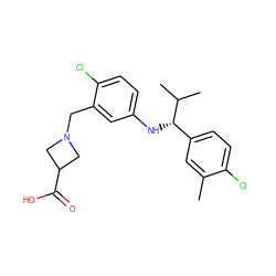 Cc1cc([C@H](Nc2ccc(Cl)c(CN3CC(C(=O)O)C3)c2)C(C)C)ccc1Cl ZINC000118398142