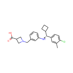 Cc1cc([C@H](Nc2cccc(CN3CC(C(=O)O)C3)c2)C2CCC2)ccc1Cl ZINC000118388231