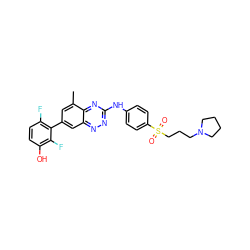 Cc1cc(-c2c(F)ccc(O)c2F)cc2nnc(Nc3ccc(S(=O)(=O)CCCN4CCCC4)cc3)nc12 ZINC000096167823