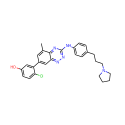 Cc1cc(-c2cc(O)ccc2Cl)cc2nnc(Nc3ccc(CCCN4CCCC4)cc3)nc12 ZINC000028957631