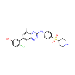 Cc1cc(-c2cc(O)ccc2Cl)cc2nnc(Nc3ccc(S(=O)(=O)C4CCNCC4)cc3)nc12 ZINC000028957678