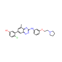 Cc1cc(-c2cc(O)ccc2Cl)cc2nnc(Nc3cccc(OCCN4CCCC4)c3)nc12 ZINC000096167791