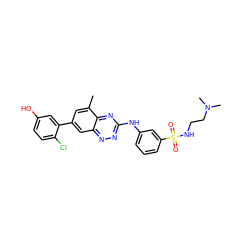 Cc1cc(-c2cc(O)ccc2Cl)cc2nnc(Nc3cccc(S(=O)(=O)NCCN(C)C)c3)nc12 ZINC000137594051