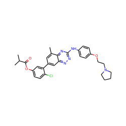 Cc1cc(-c2cc(OC(=O)C(C)C)ccc2Cl)cc2nnc(Nc3ccc(OCCN4CCCC4)cc3)nc12 ZINC000029136041