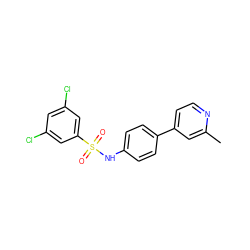 Cc1cc(-c2ccc(NS(=O)(=O)c3cc(Cl)cc(Cl)c3)cc2)ccn1 ZINC000103283627