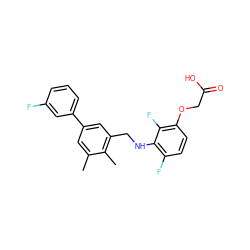 Cc1cc(-c2cccc(F)c2)cc(CNc2c(F)ccc(OCC(=O)O)c2F)c1C ZINC000218913703