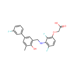 Cc1cc(-c2cccc(F)c2)cc(CNc2c(F)ccc(OCC(=O)O)c2F)c1O ZINC000218856233