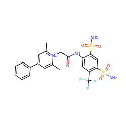 Cc1cc(-c2ccccc2)cc(C)[n+]1CC(=O)Nc1cc(C(F)(F)F)c(S(N)(=O)=O)cc1S(N)(=O)=O ZINC000026819056