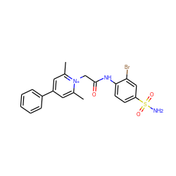 Cc1cc(-c2ccccc2)cc(C)[n+]1CC(=O)Nc1ccc(S(N)(=O)=O)cc1Br ZINC000013804350