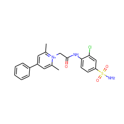 Cc1cc(-c2ccccc2)cc(C)[n+]1CC(=O)Nc1ccc(S(N)(=O)=O)cc1Cl ZINC000013804342