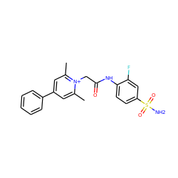 Cc1cc(-c2ccccc2)cc(C)[n+]1CC(=O)Nc1ccc(S(N)(=O)=O)cc1F ZINC000013804331