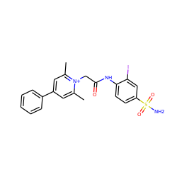 Cc1cc(-c2ccccc2)cc(C)[n+]1CC(=O)Nc1ccc(S(N)(=O)=O)cc1I ZINC000026820286