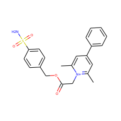 Cc1cc(-c2ccccc2)cc(C)[n+]1CC(=O)OCc1ccc(S(N)(=O)=O)cc1 ZINC000013804452