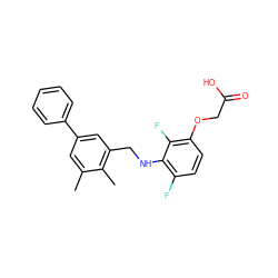 Cc1cc(-c2ccccc2)cc(CNc2c(F)ccc(OCC(=O)O)c2F)c1C ZINC000218903651