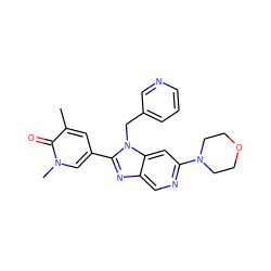 Cc1cc(-c2nc3cnc(N4CCOCC4)cc3n2Cc2cccnc2)cn(C)c1=O ZINC001772639142